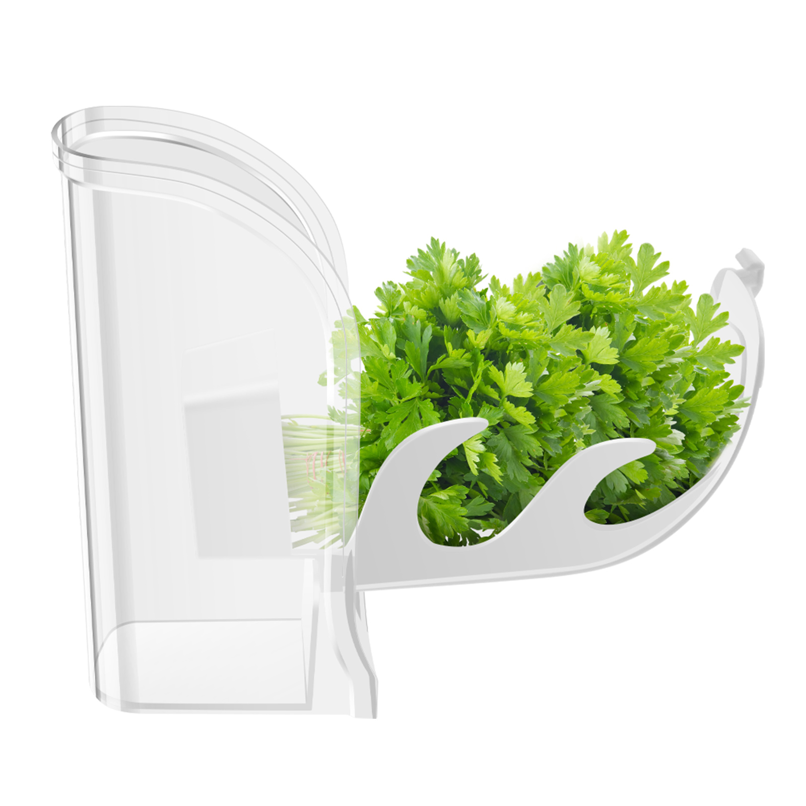 Wadah Penyimpan Ramuan Renyah  - Herb Keeper Container ulasan dan harga