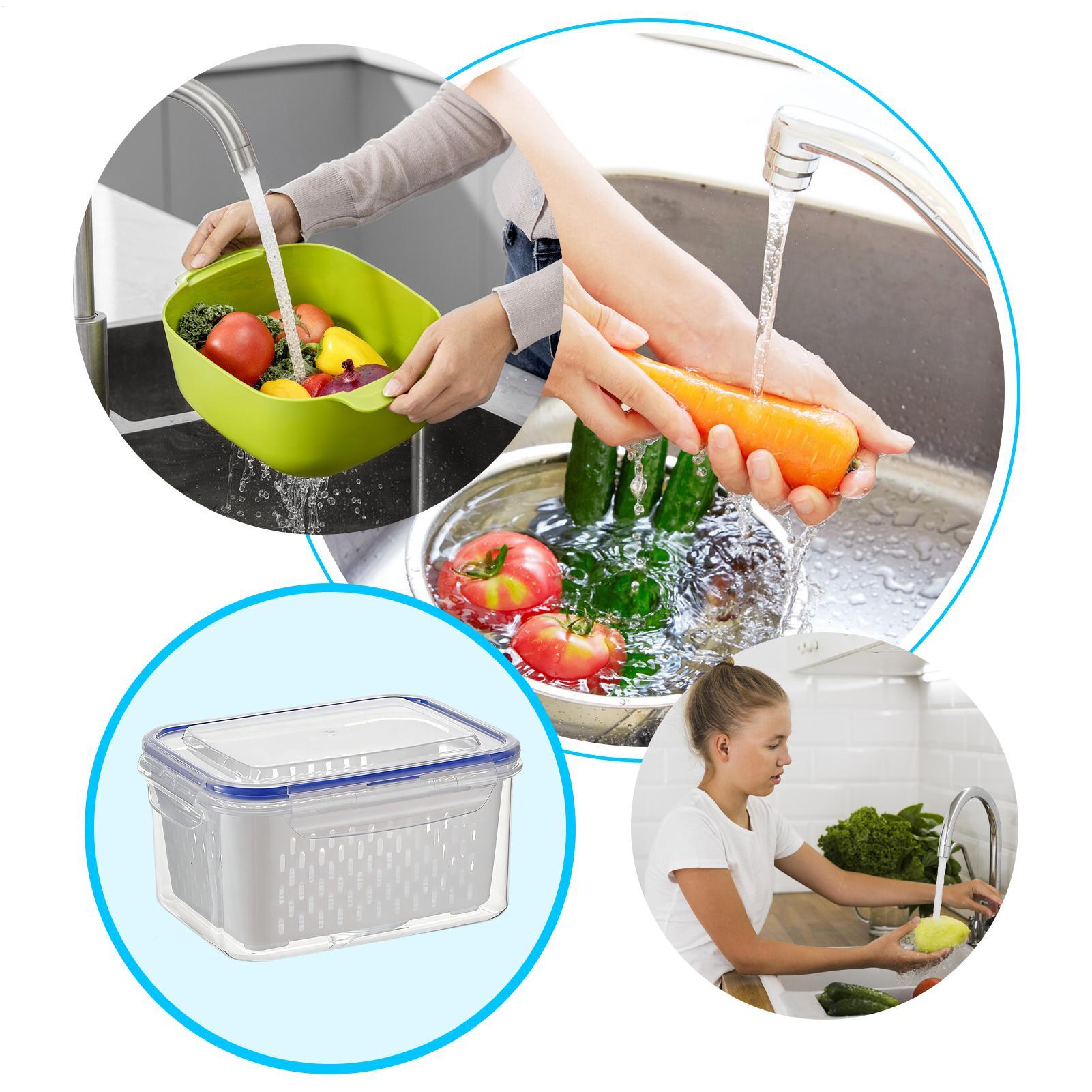 Wadah Penyimpanan Makanan 4 in - Food Storage Refrigerator ulasan dan harga