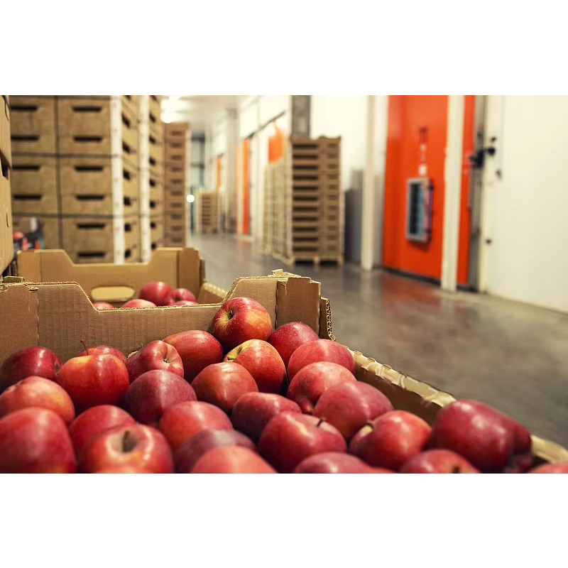 Ruang Pendingin Khusus Terlari - Food Storage Keep Hot ulasan dan harga