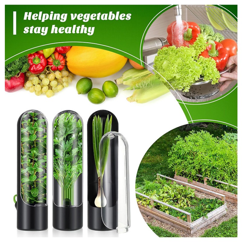 1/2/3PCS Wadah Penyimpanan Her - Herb Keeper Container ulasan dan harga