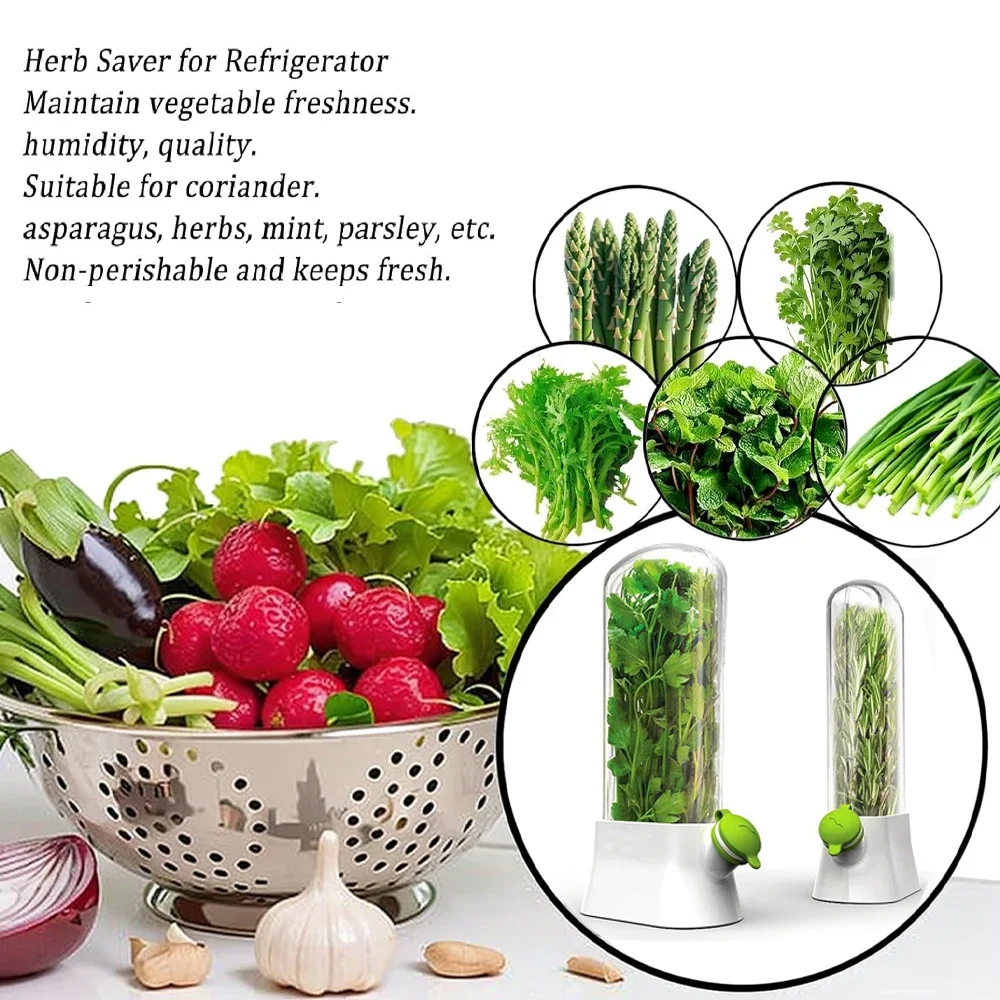 Wadah penyimpan tanaman herbal - Herb Keeper Container ulasan dan harga