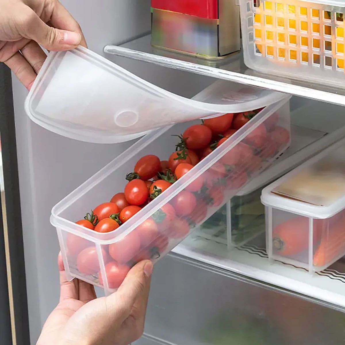 1 Kotak Penyimpanan Plastik Tr - Food Storage Refrigerator ulasan dan harga