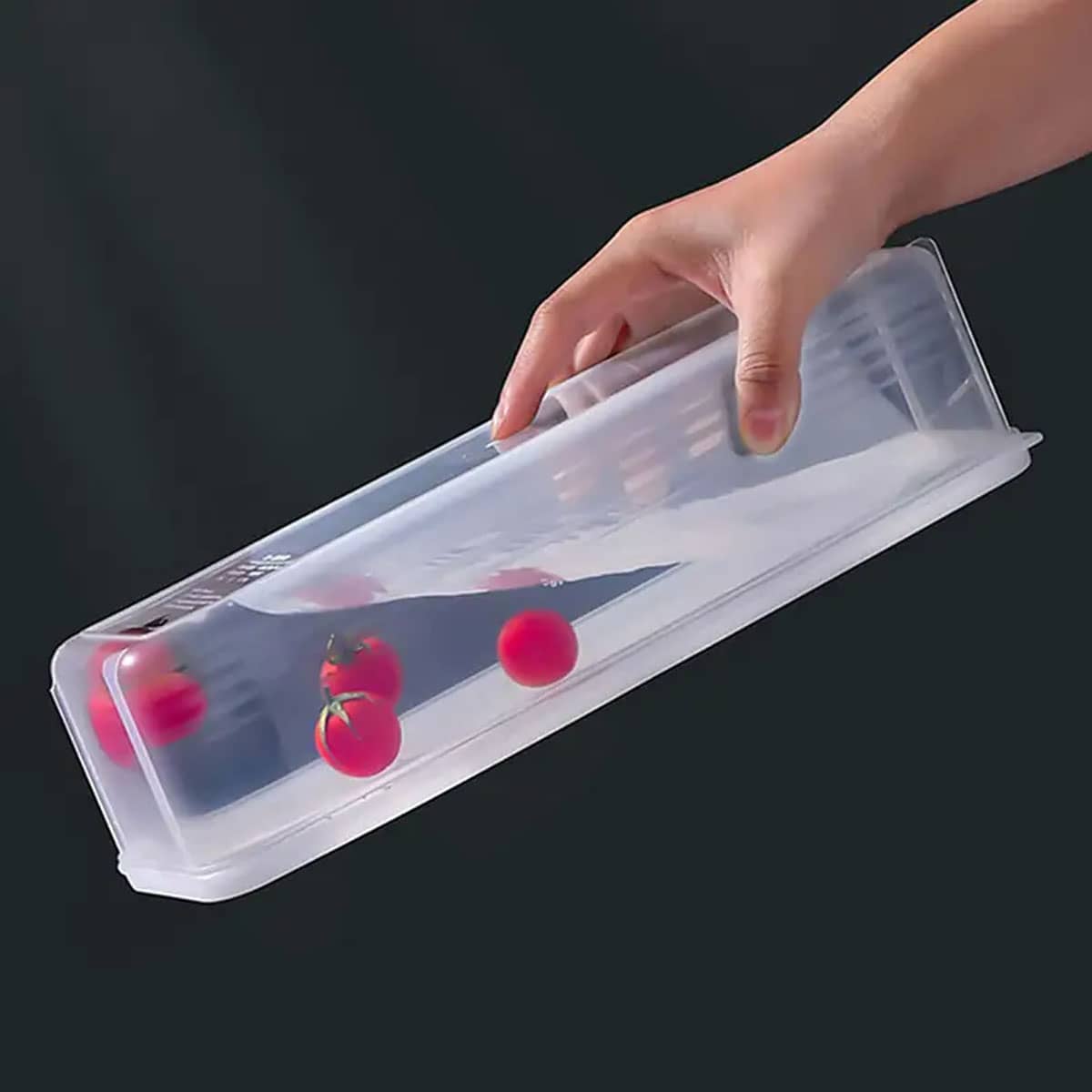 1 Kotak Penyimpanan Plastik Tr - Food Storage Refrigerator ulasan dan harga