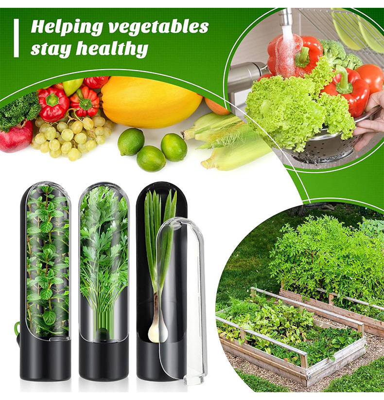 Wadah Penyimpanan Penyimpan Ra - Herb Keeper Container ulasan dan harga